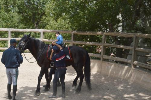 Nella Masseria Galeone con Pardo